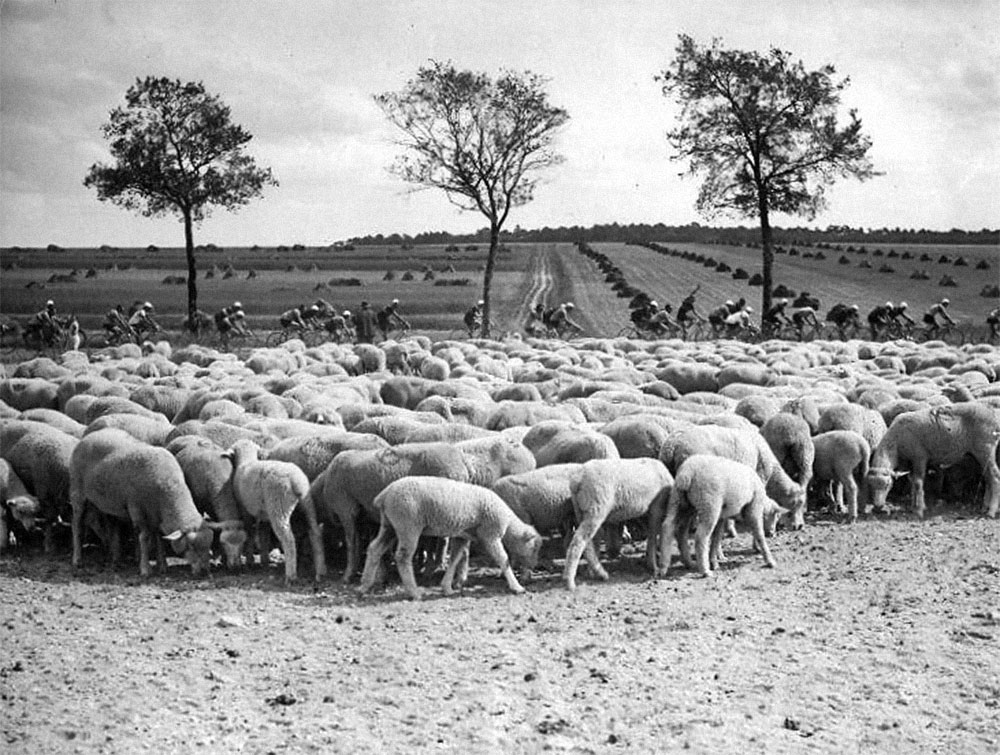 Tour de France 1938